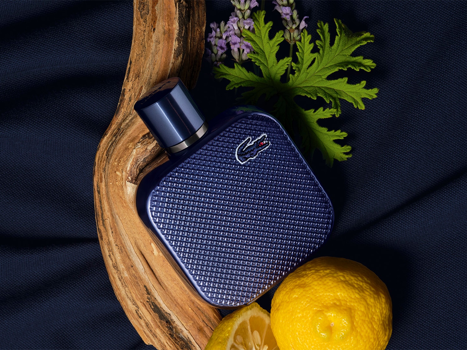 Elegancki ciemnoniebieski flakon perfum z charakterystycznym logo krokodyla leży na tle ciemnego materiału w otoczeniu drewnianego elementu, świeżych cytryn i lawendy.